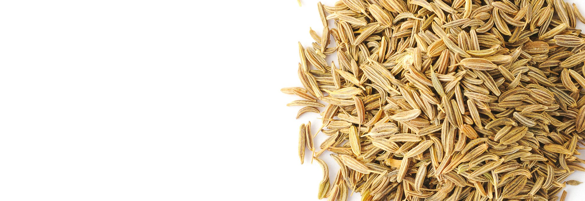 Grains, Seeds & Bean Packaging Machines